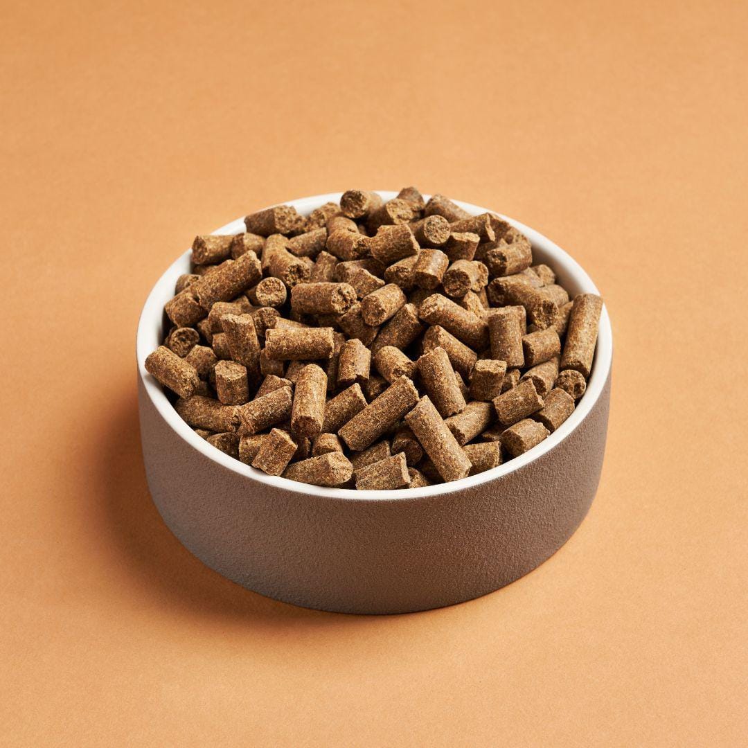 Darf North Sea Cold Pressed Dog Food - Image 8