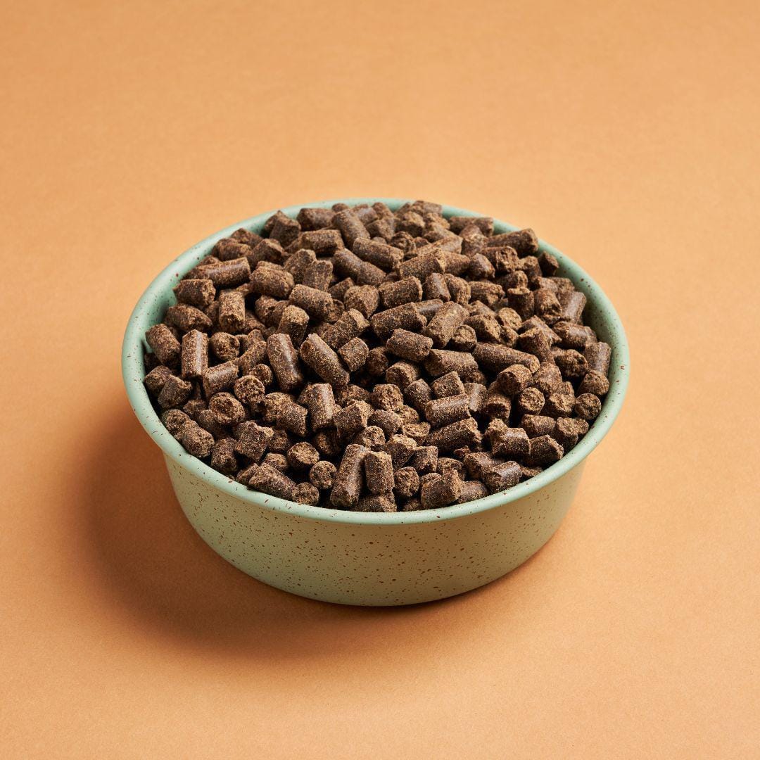 DARF Salmon Cold Pressed Dog Food - Image 3