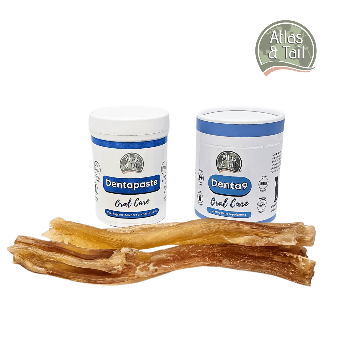 Dental Care Kit - Image 2