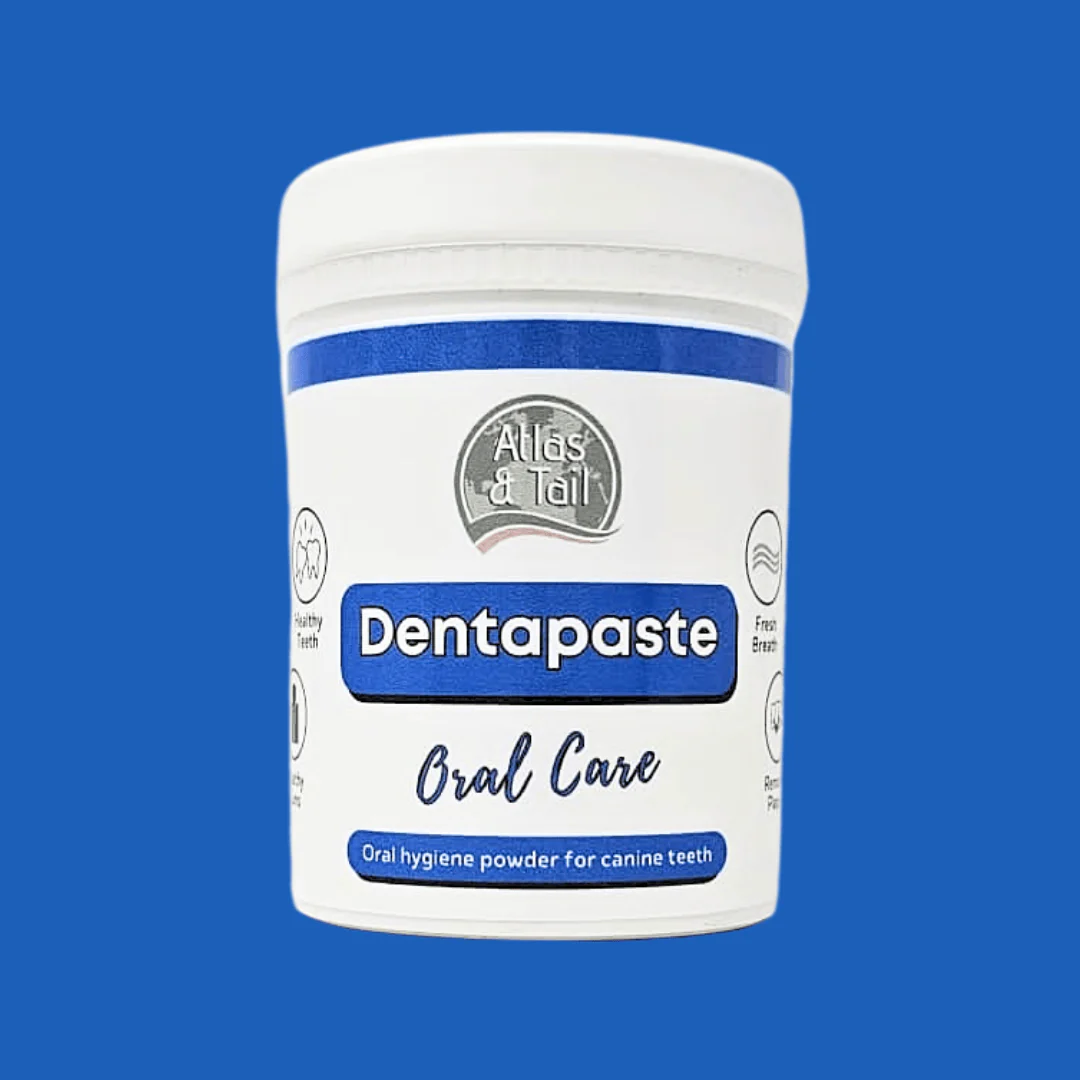 Dentapaste