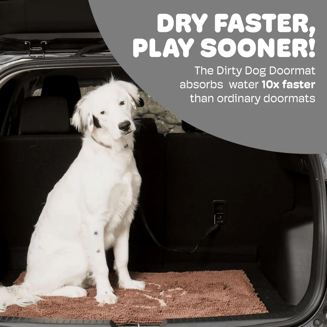 Dirty Dog Absorbent Doormat - Image 6