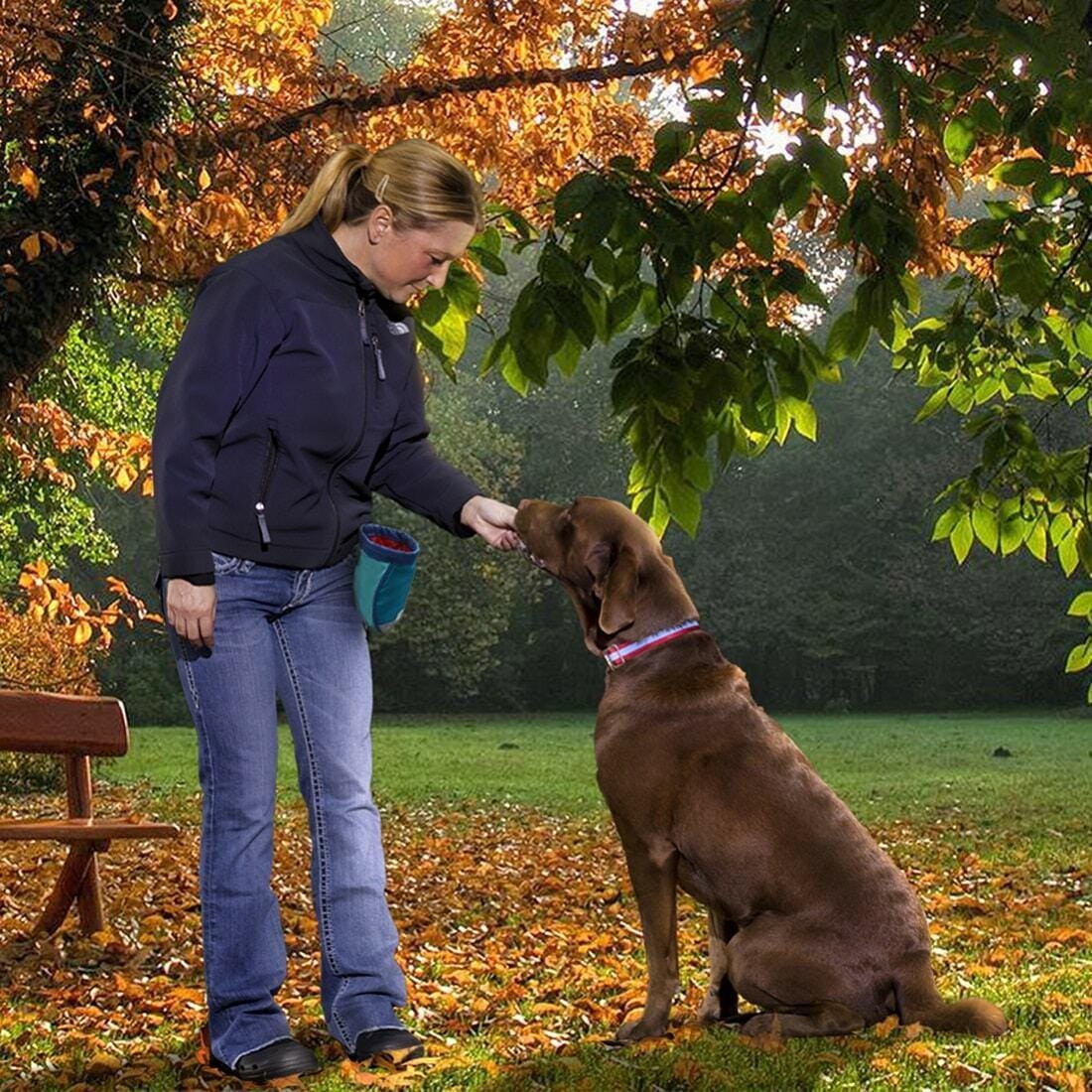 Dog Training Treat Bag | Kurgo Go Stuff It - Image 5