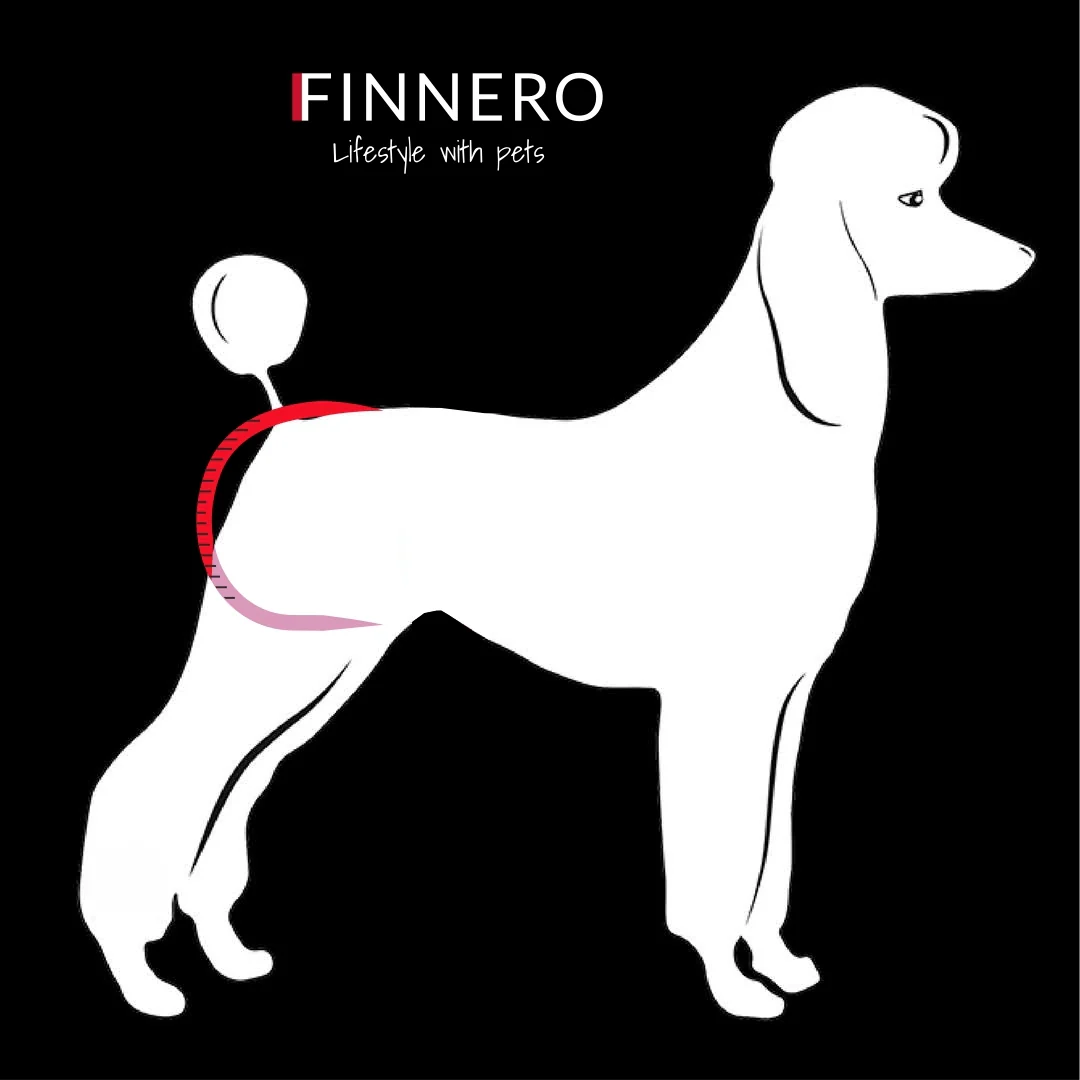 Finnero Brenda Female Dog Heat & Hygiene Pants Dark Grey - Image 7