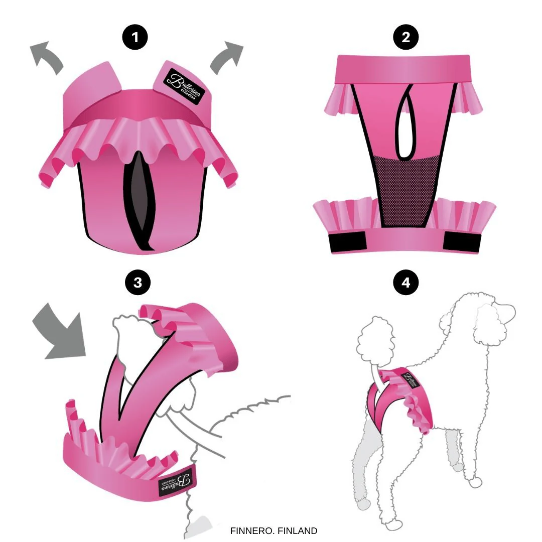 Finnero Female Dog Heat & Hygiene Pants - Image 12