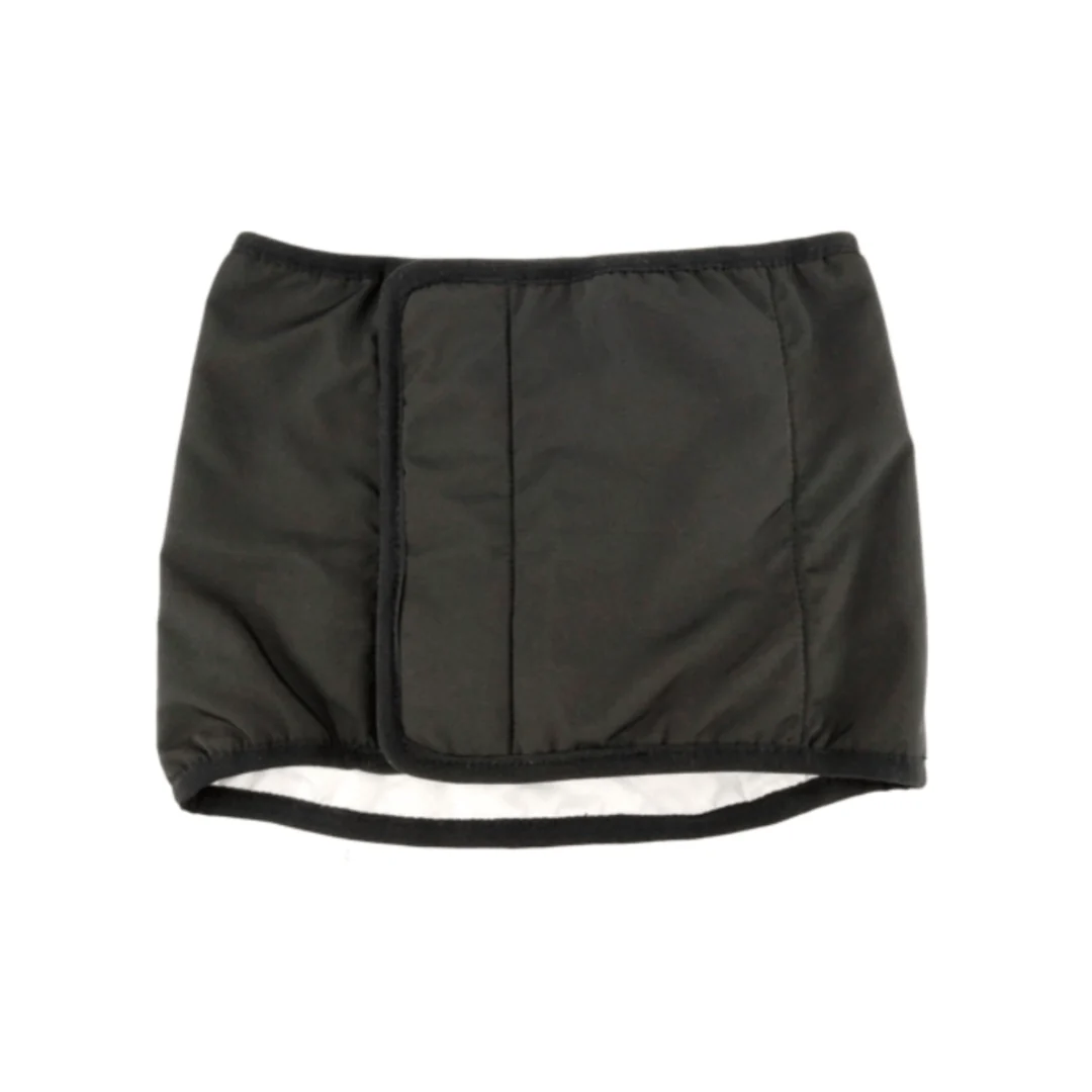 Finnero JustInCase Male Dog Belly Band - Image 3