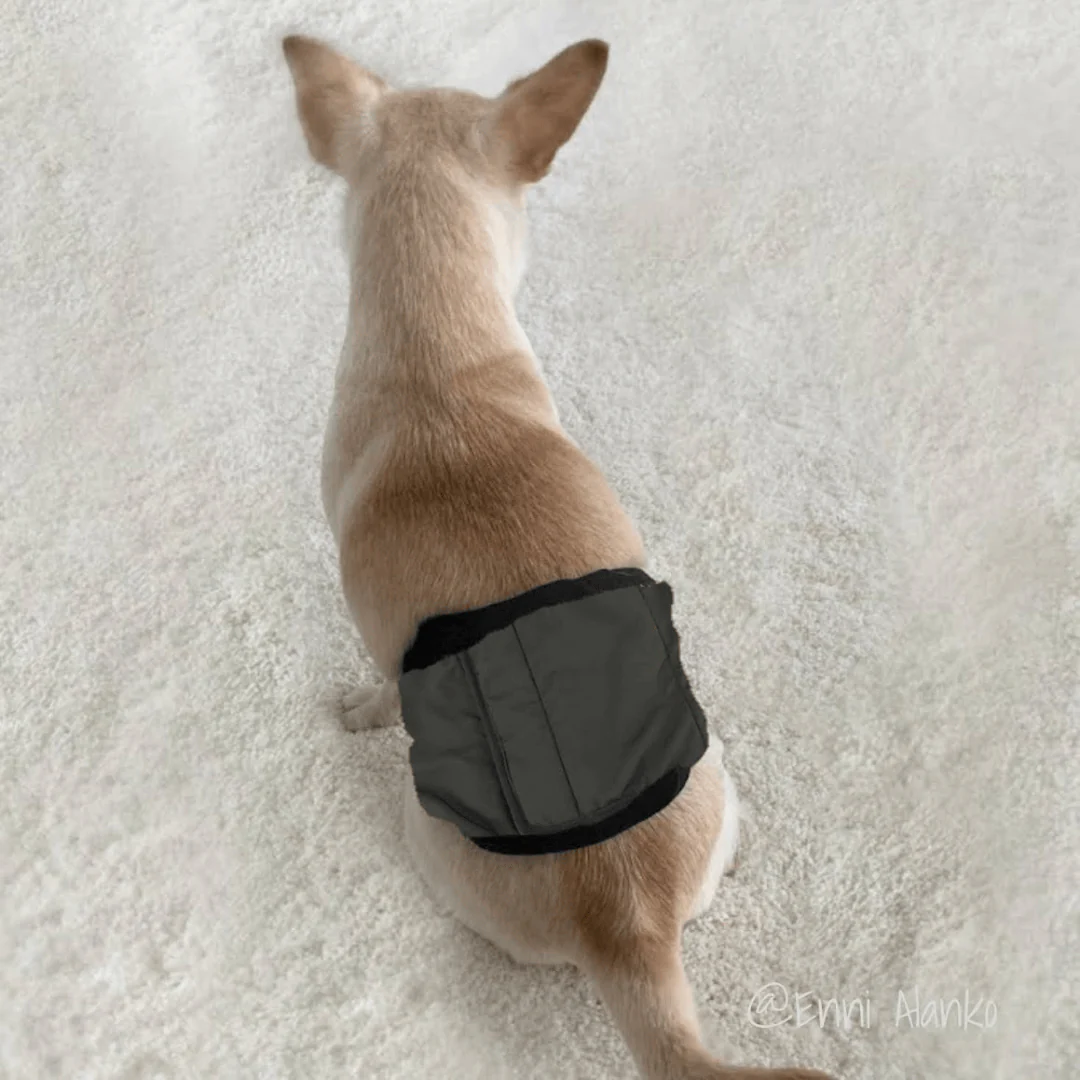 Finnero JustInCase Male Dog Belly Band - Image 5