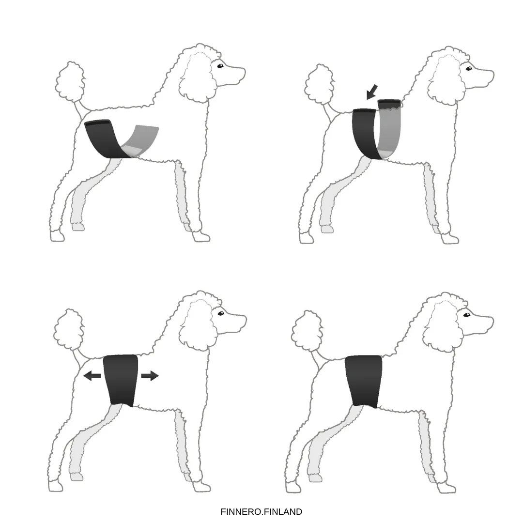 Finnero JustInCase Male Dog Belly Band - Image 7