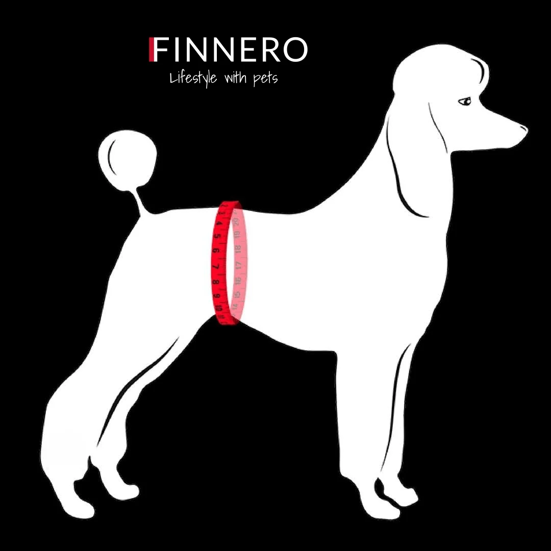 Finnero JustInCase Male Dog Belly Band - Image 8