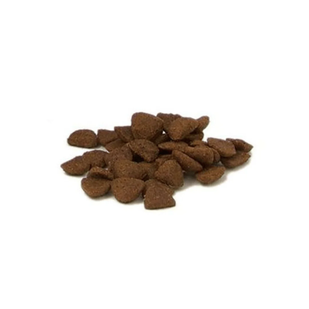 Fish 4 Dogs Training Puppy Super Stars Sardine - Image 2