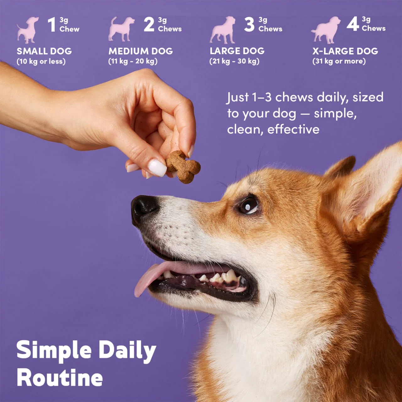 Flexi9 - Joint Chews - Image 4