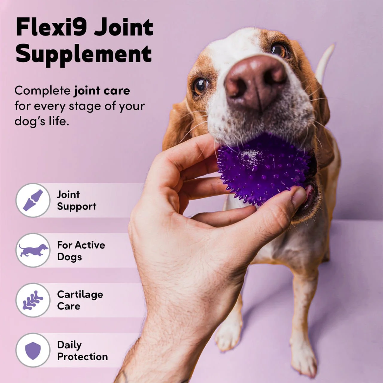 Flexi9 - Joint Supplement - Image 5