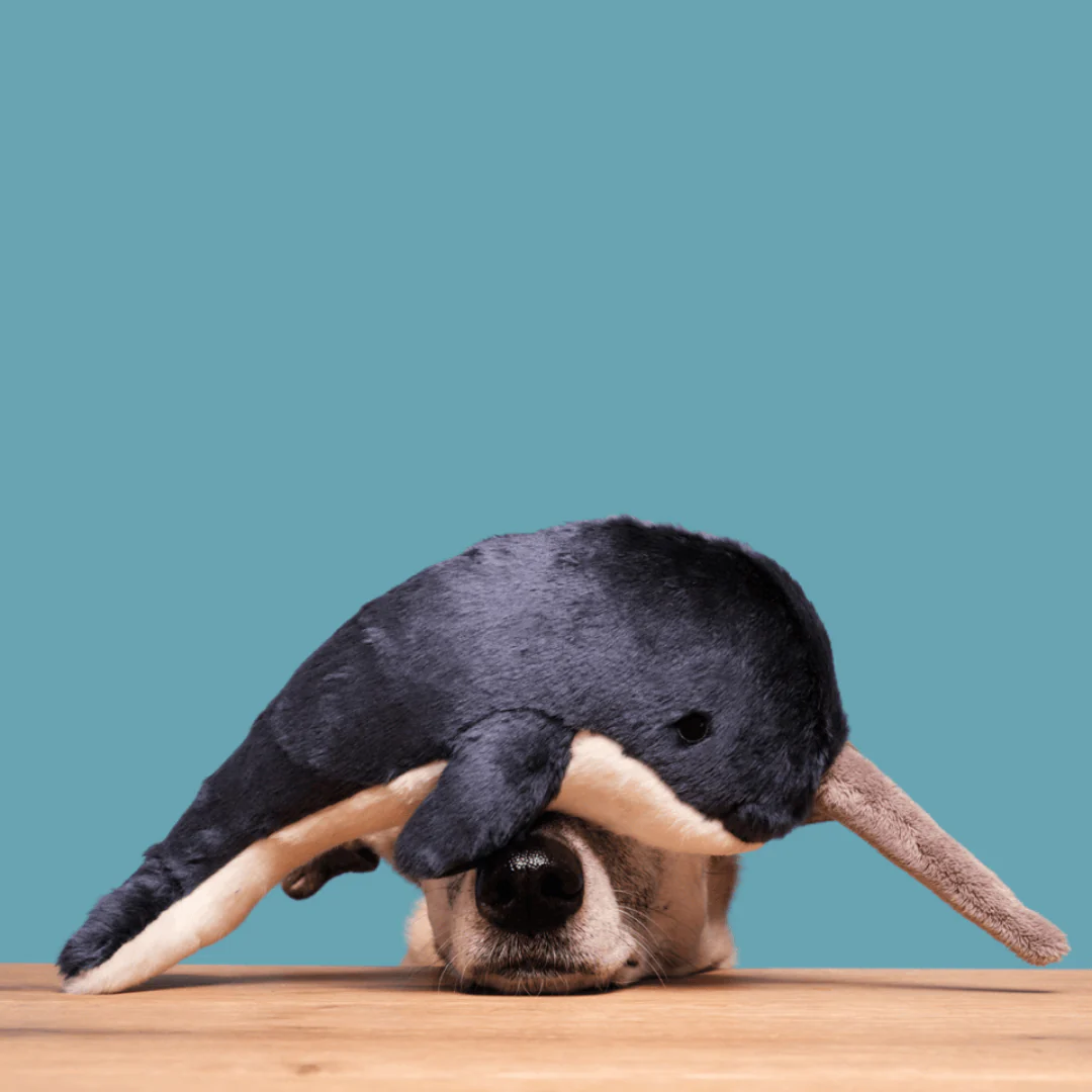 Fluff & Tuff Bleu Narwhal Plush Dog Toy - Image 2