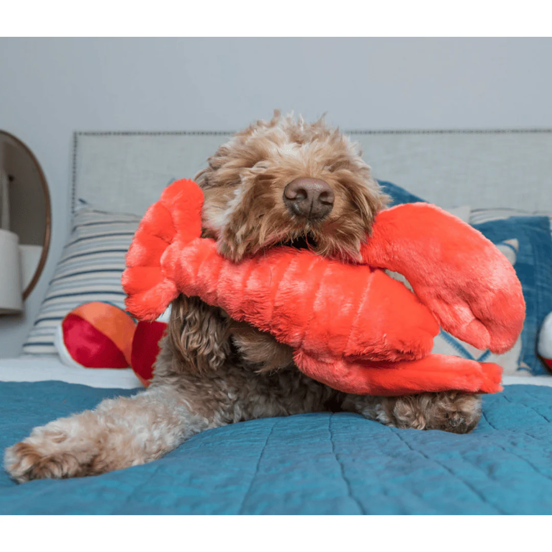 Fluff & Tuff Manny Lobster Plush Dog Toy - Image 2