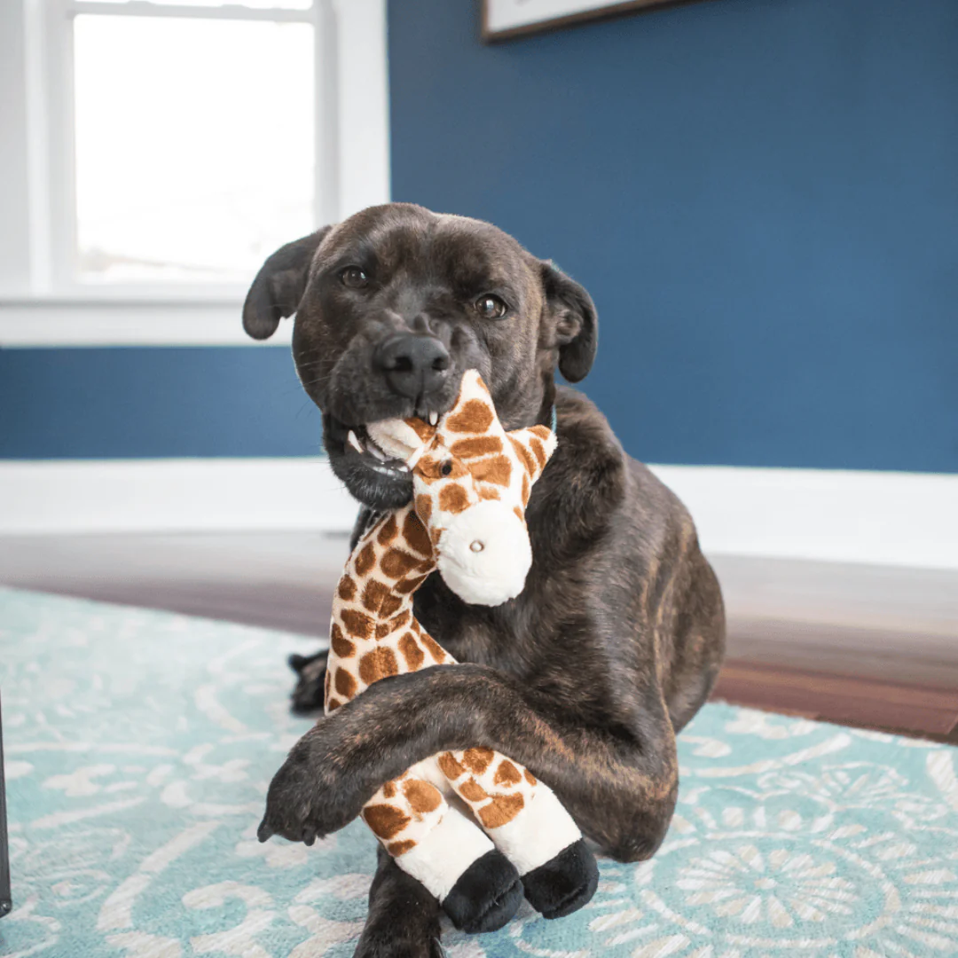 Fluff & Tuff Nelly Giraffe Plush Dog Toy - Image 2