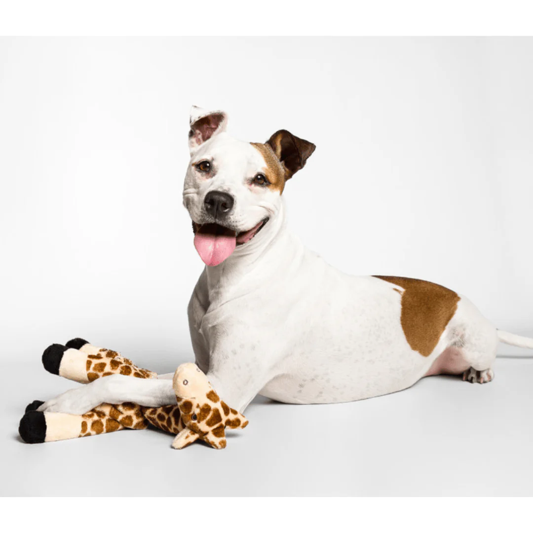 Fluff & Tuff Nelly Giraffe Plush Dog Toy - Image 5
