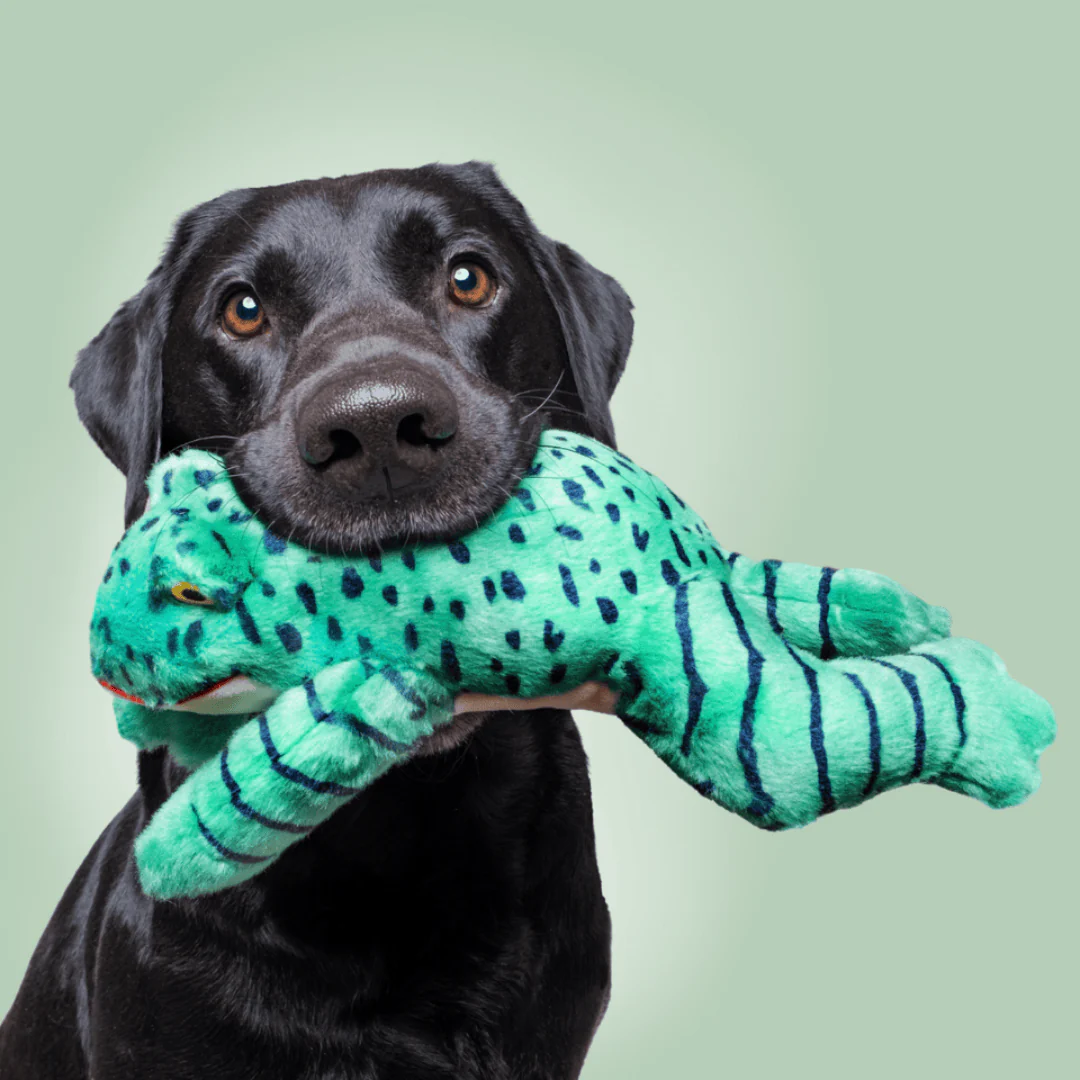 Fluff & Tuff Oliver Frog Plush Dog Toy - Image 2