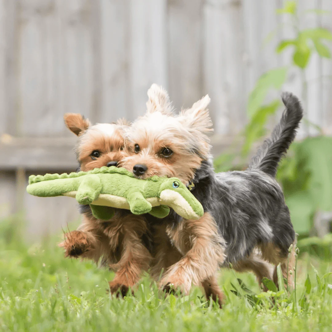 Fluff & Tuff Savannah Baby Gator Plush Dog Toy - Image 2