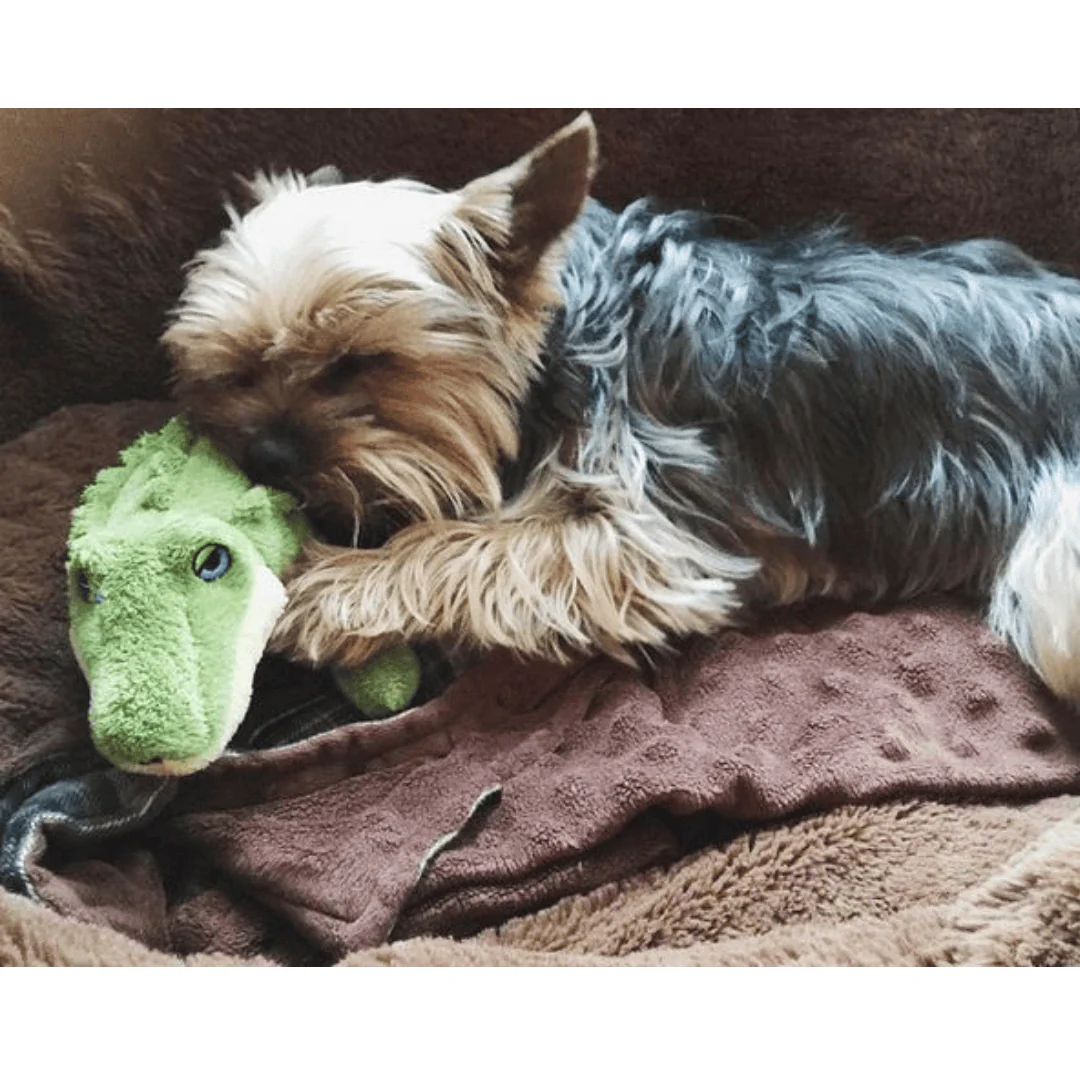 Fluff & Tuff Savannah Baby Gator Plush Dog Toy - Image 6