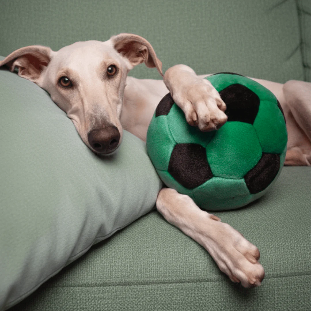 Fluff & Tuff Soccer Ball Plush Dog Toy - Image 2