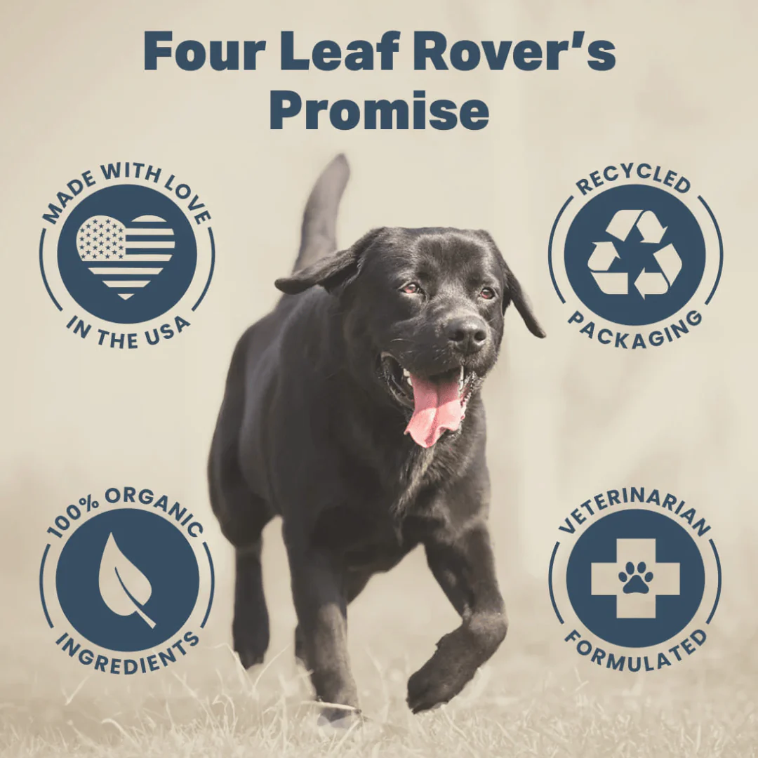 Four Leaf Rover - Green Rover - Image 7