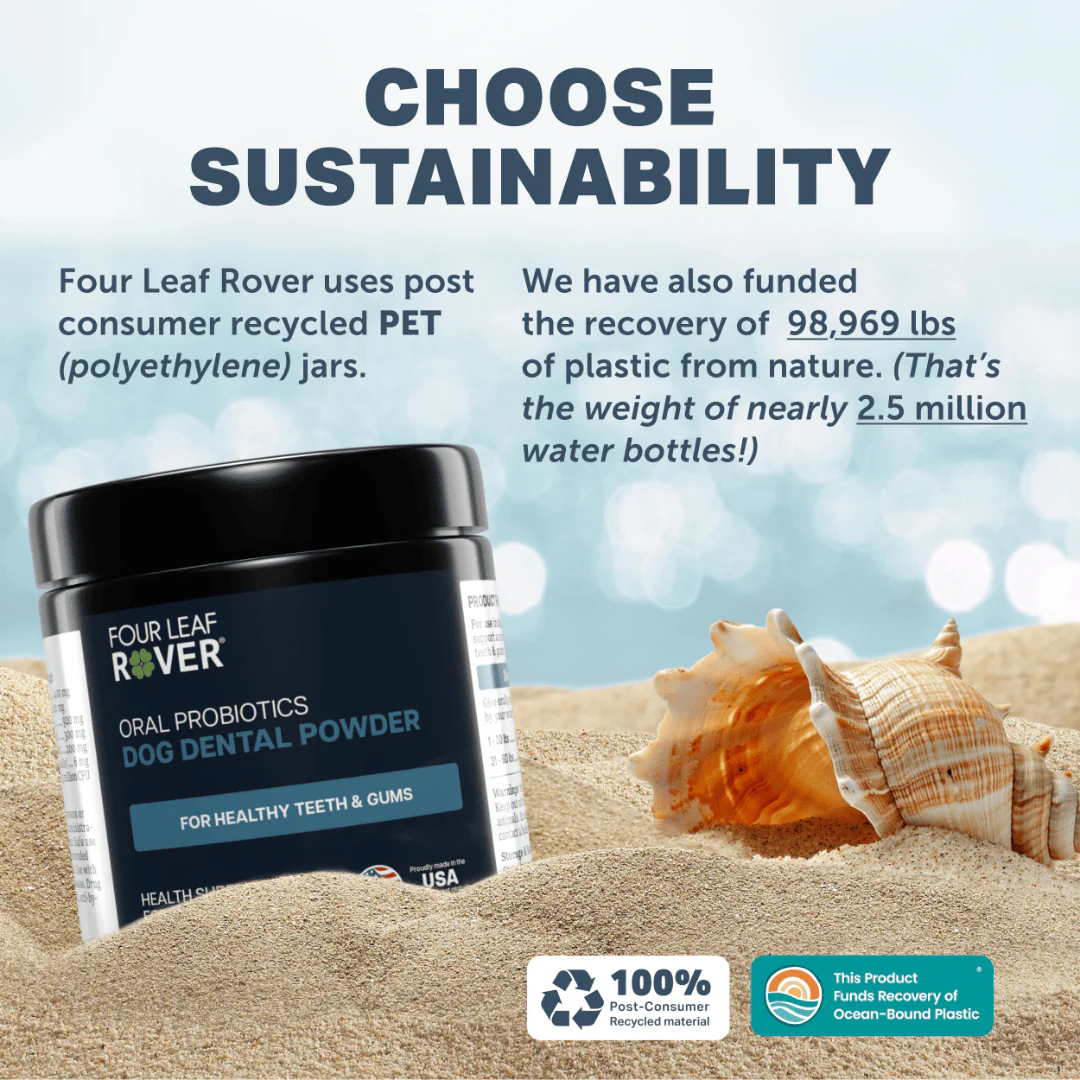 Four Leaf Rover - Oral Health - Image 8