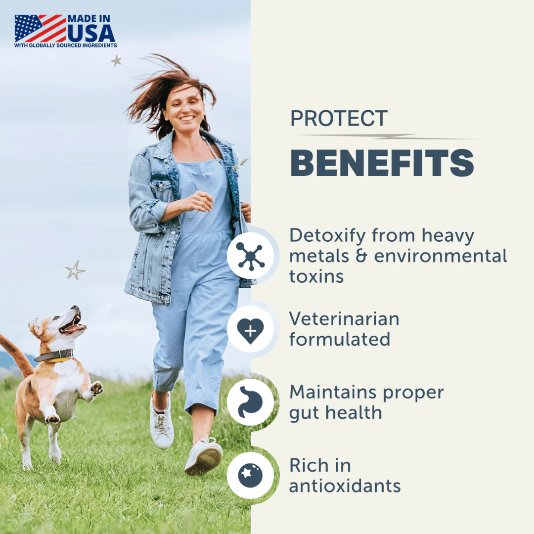Four Leaf Rover - Protect - Soil Based Pro & Prebiotics - Image 4
