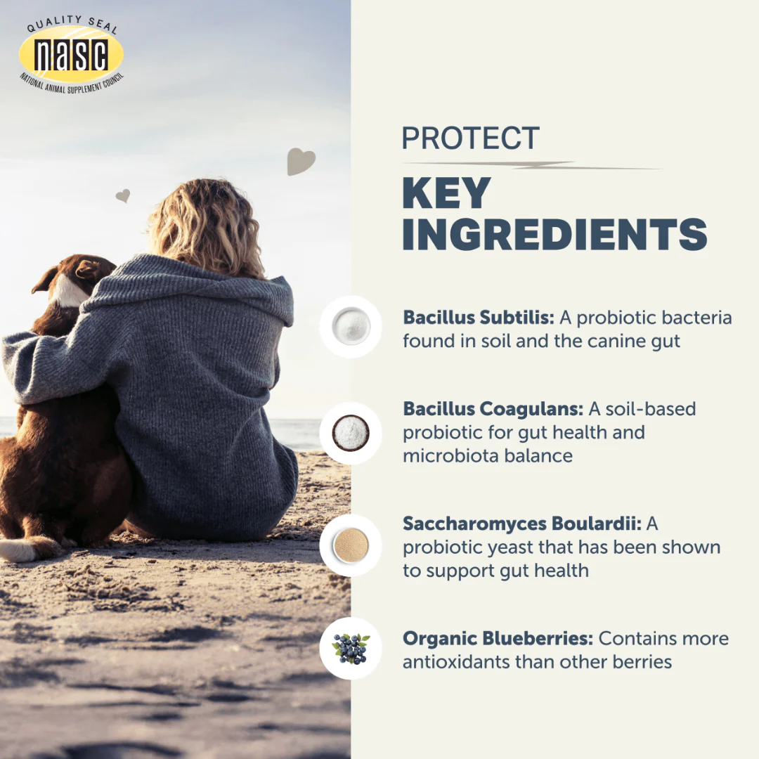 Four Leaf Rover - Protect - Soil Based Pro & Prebiotics - Image 5