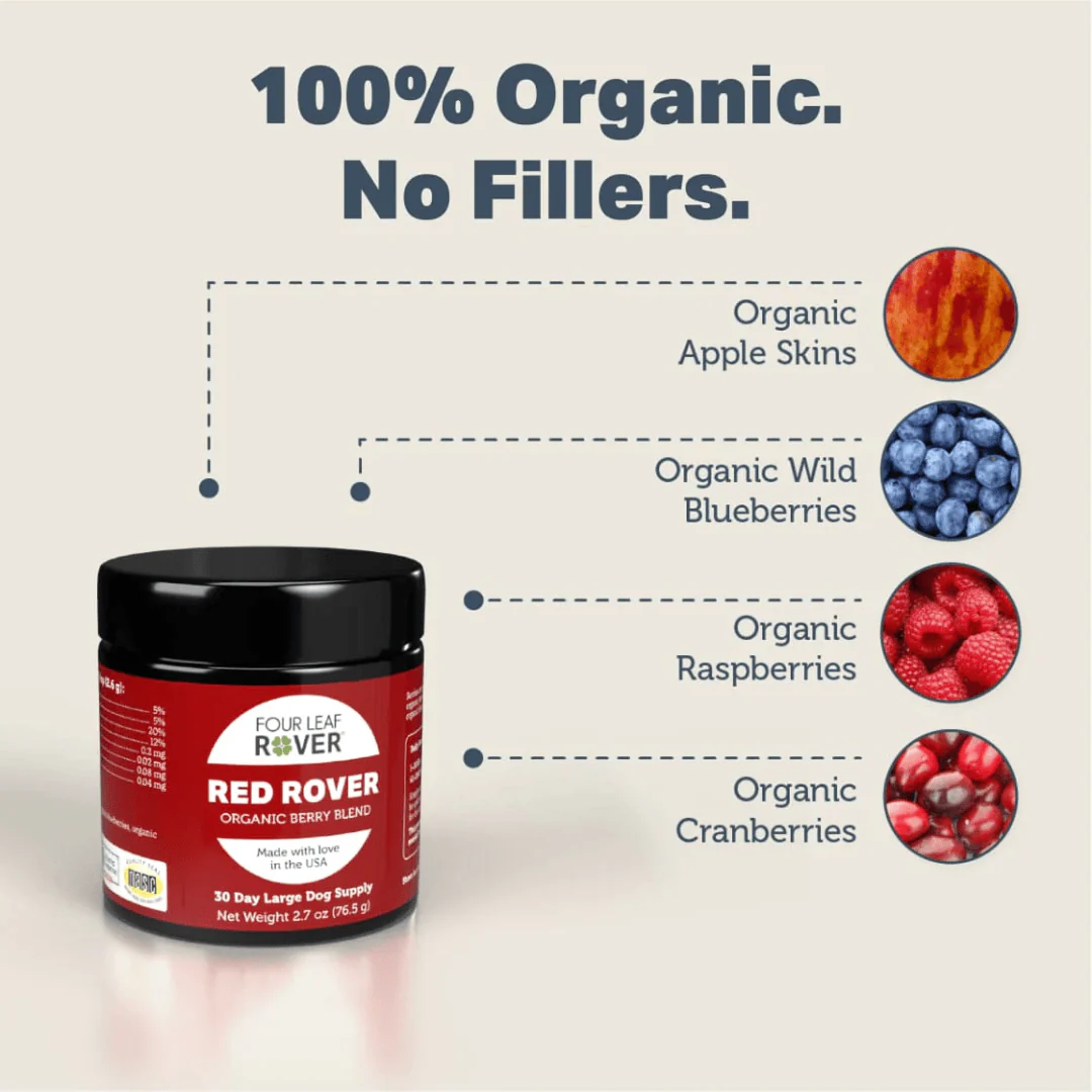 Four Leaf Rover - Red Rover - Organic Berry Blend - Image 3