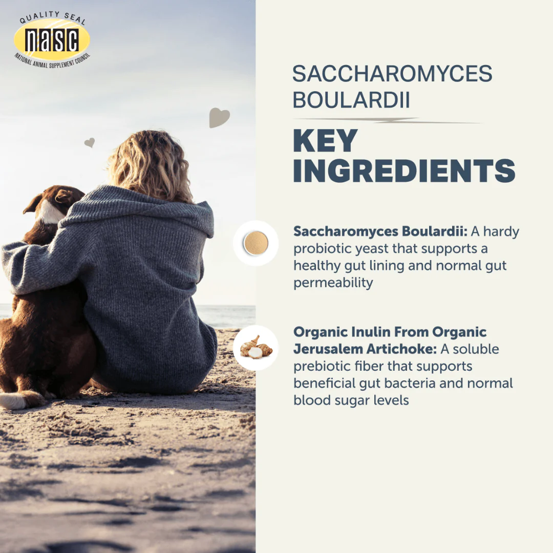 Four Leaf Rover - Saccharomyces Boulardii Yeast Probiotic - Image 4