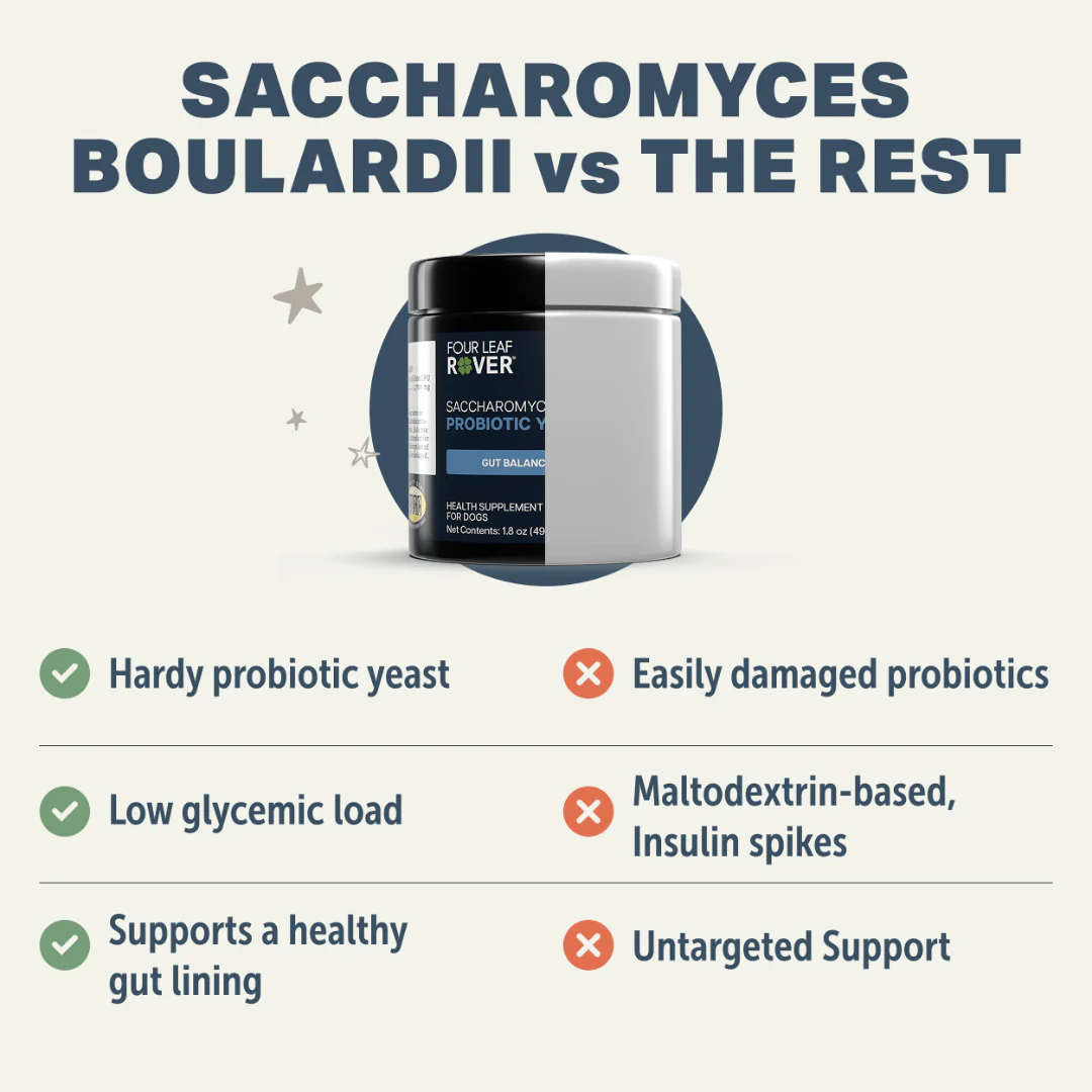 Four Leaf Rover - Saccharomyces Boulardii Yeast Probiotic - Image 5