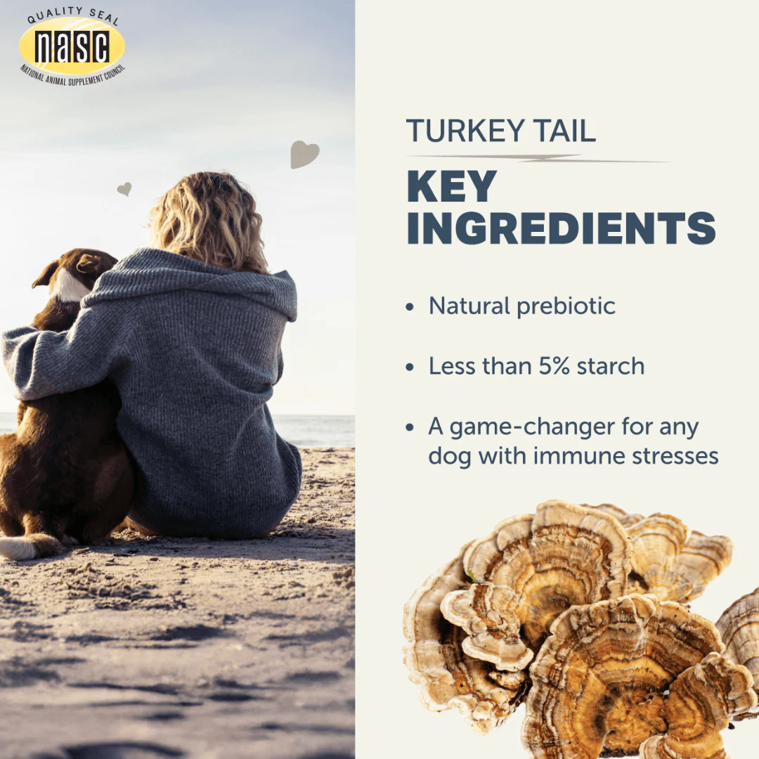 Four Leaf Rover - Turkey Tail Mushroom for Dogs - Image 4