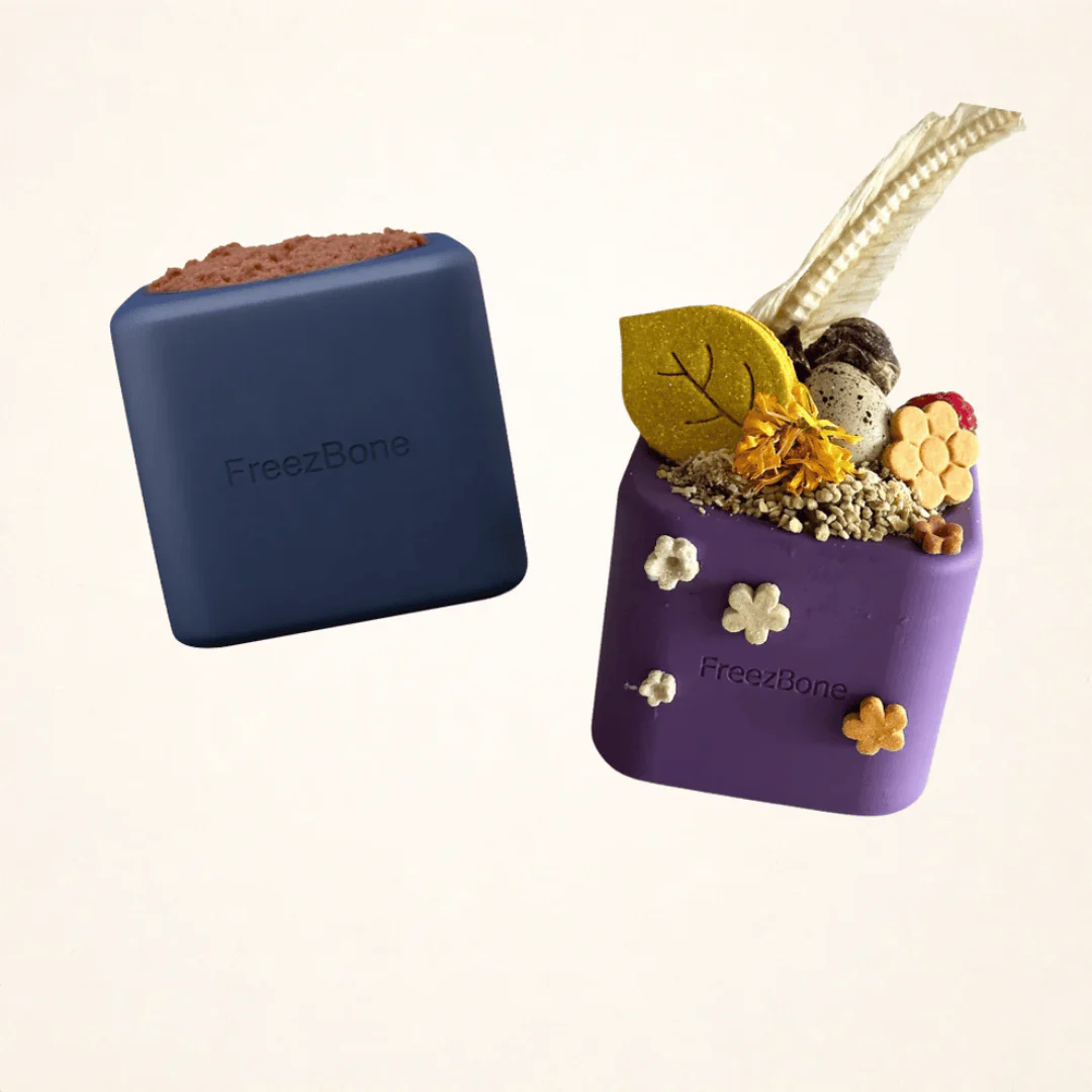 FreezBox Enrichment Toy For Pets - Image 2