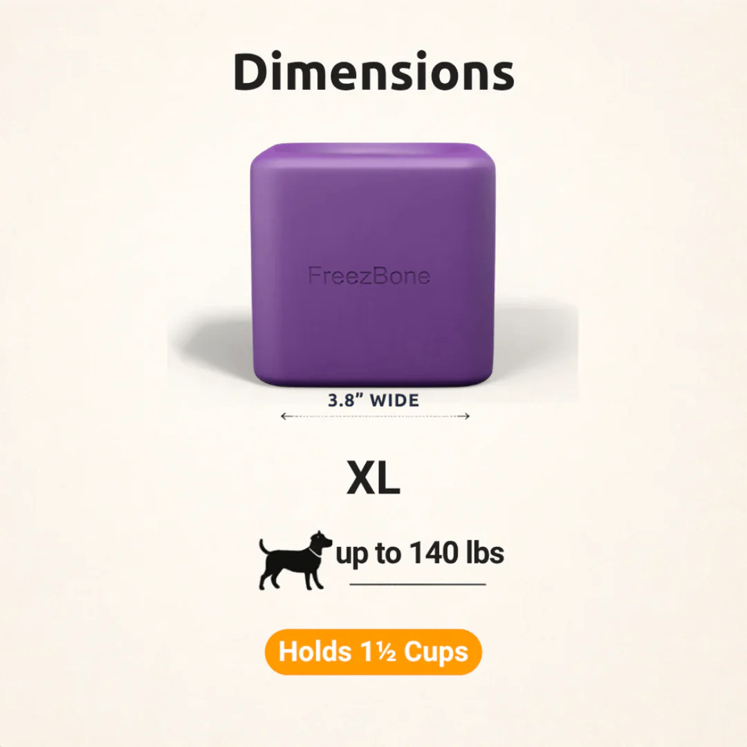 FreezBox Enrichment Toy For Pets - Image 3