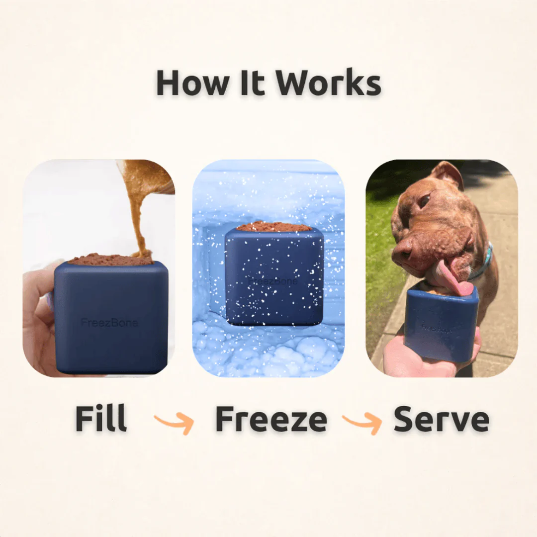 FreezBox Enrichment Toy For Pets - Image 4