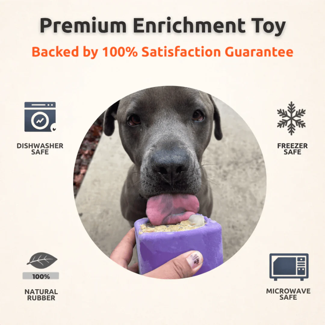 FreezBox Enrichment Toy For Pets - Image 6