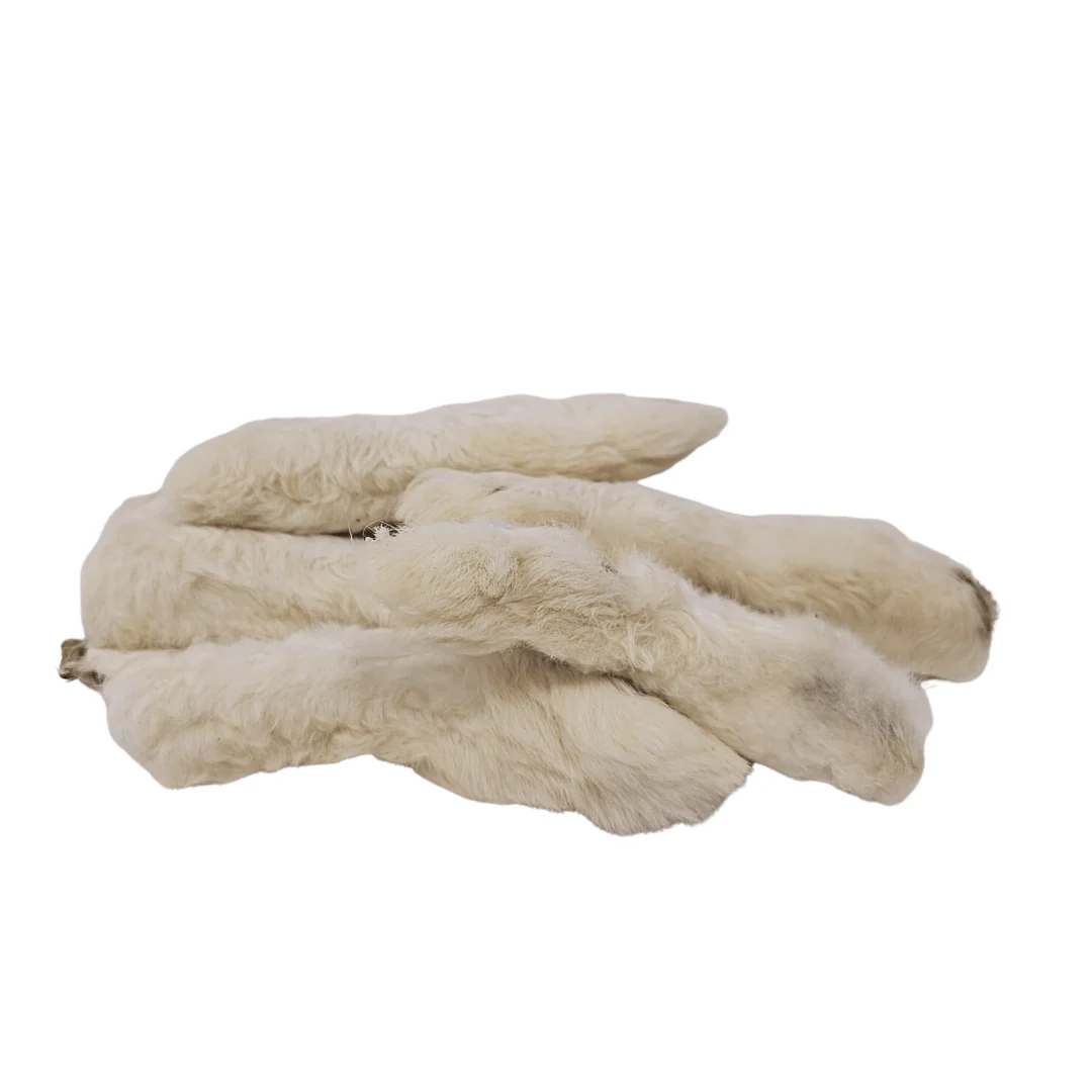 Furry Rabbit Digs - Image 2