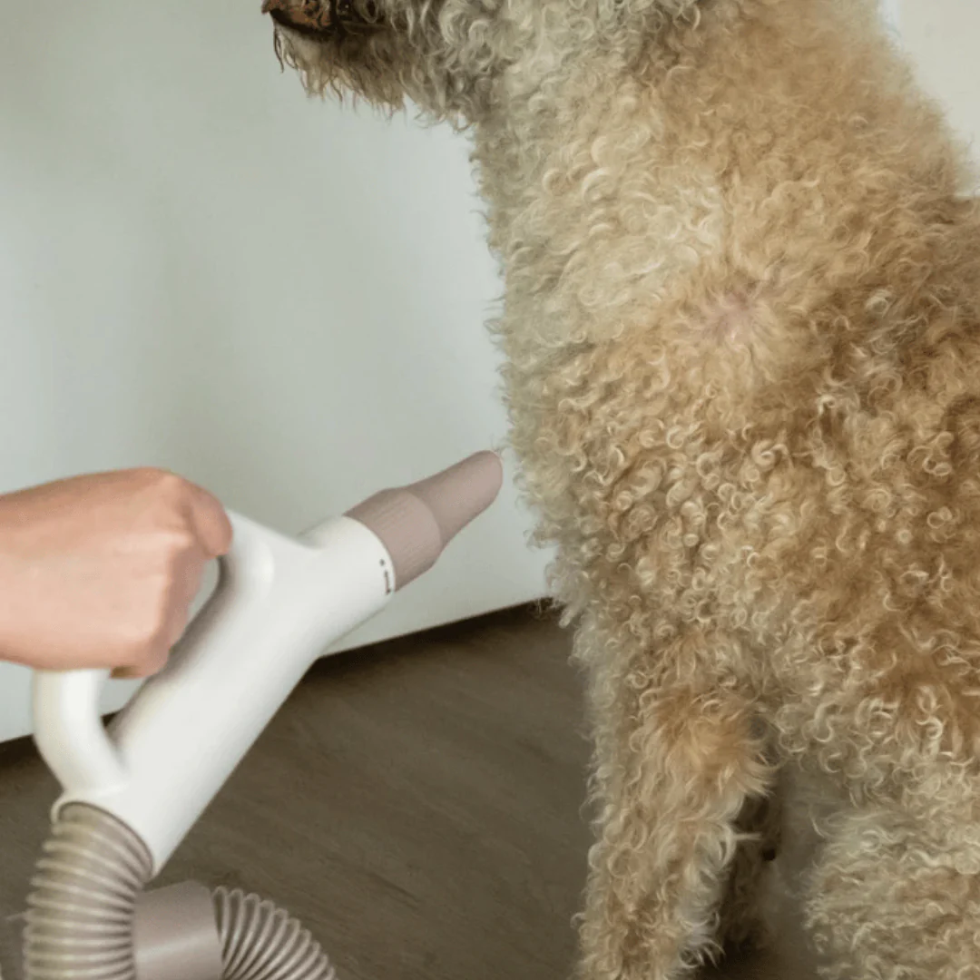 Groomers Secret Pet Hair Dryer - Blaster - Image 4
