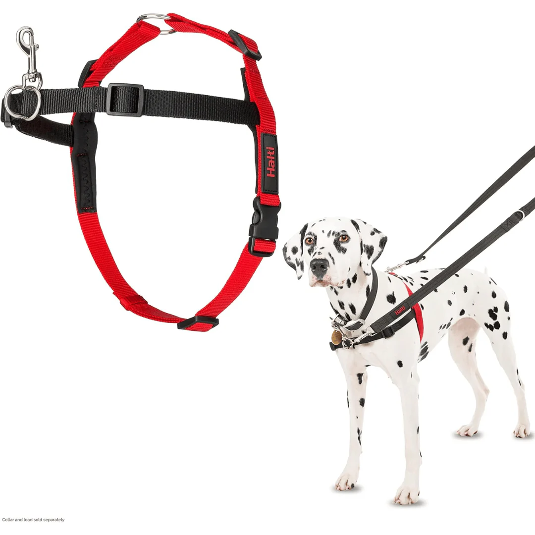 Halti Front Control Harness - Image 5