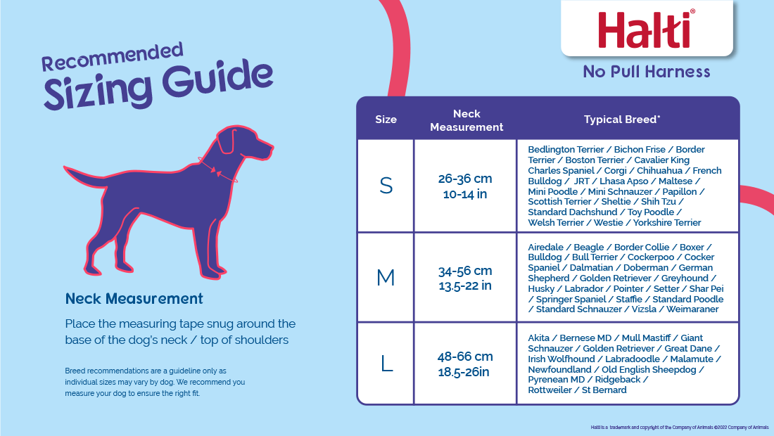 Halti Head Collar for Dogs - Image 10