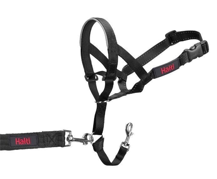 Halti Head Collar for Dogs - Image 3