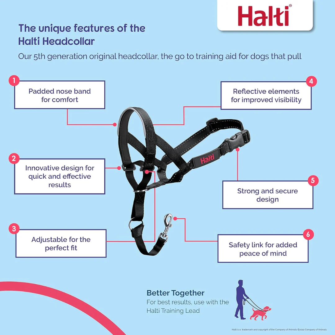 Halti Head Collar for Dogs - Image 4