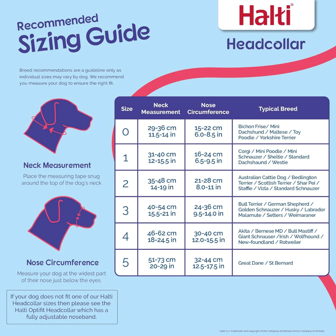 Halti Head Collar for Dogs - Image 5