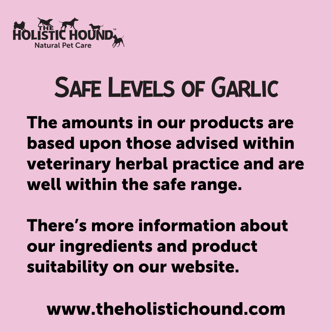 Holistic Hound Hairy & Happy (formerly Ticked Off) - Image 4