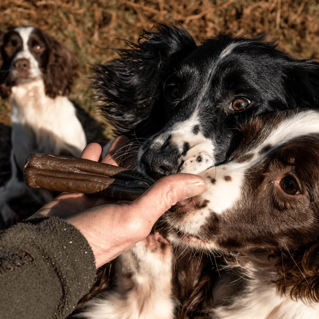 Innocent Hound Dental Support Sausages - Image 4