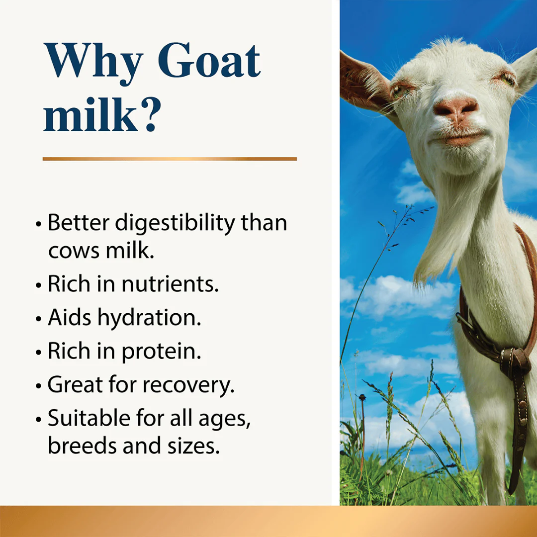 Karnlea Goat Milk Powder for Dogs and Cats - Image 3