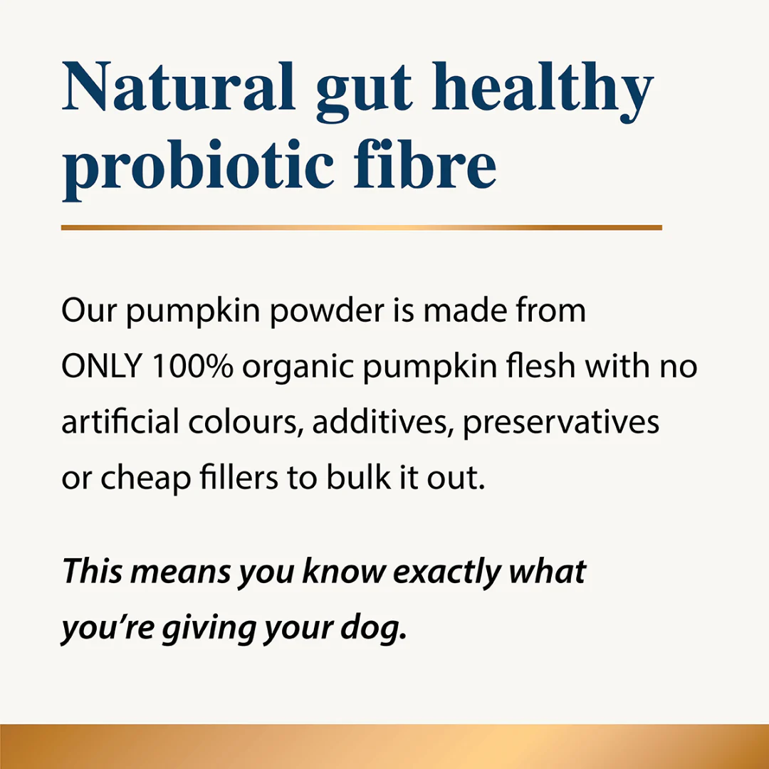 Karnlea Pumpkin Powder - Image 3