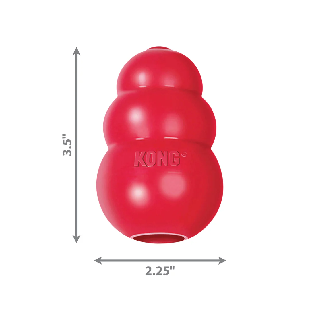 Kong Classic Dog Toy - Image 10