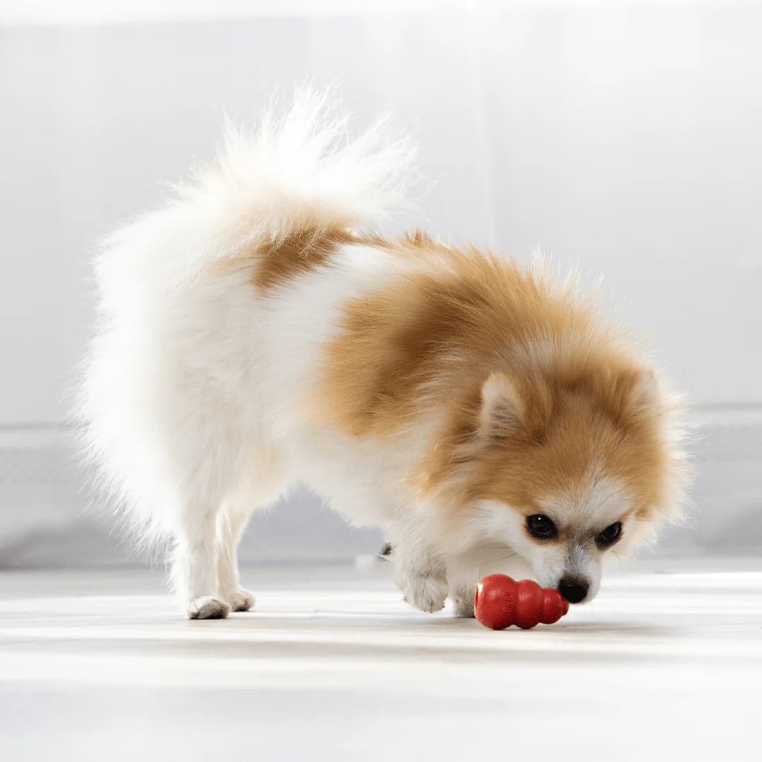 Kong Classic Dog Toy - Image 6