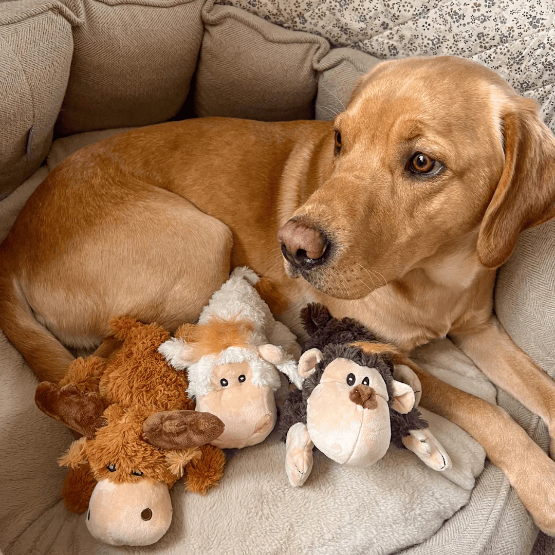 Kong Cozies Natural Dog Toy - Image 2