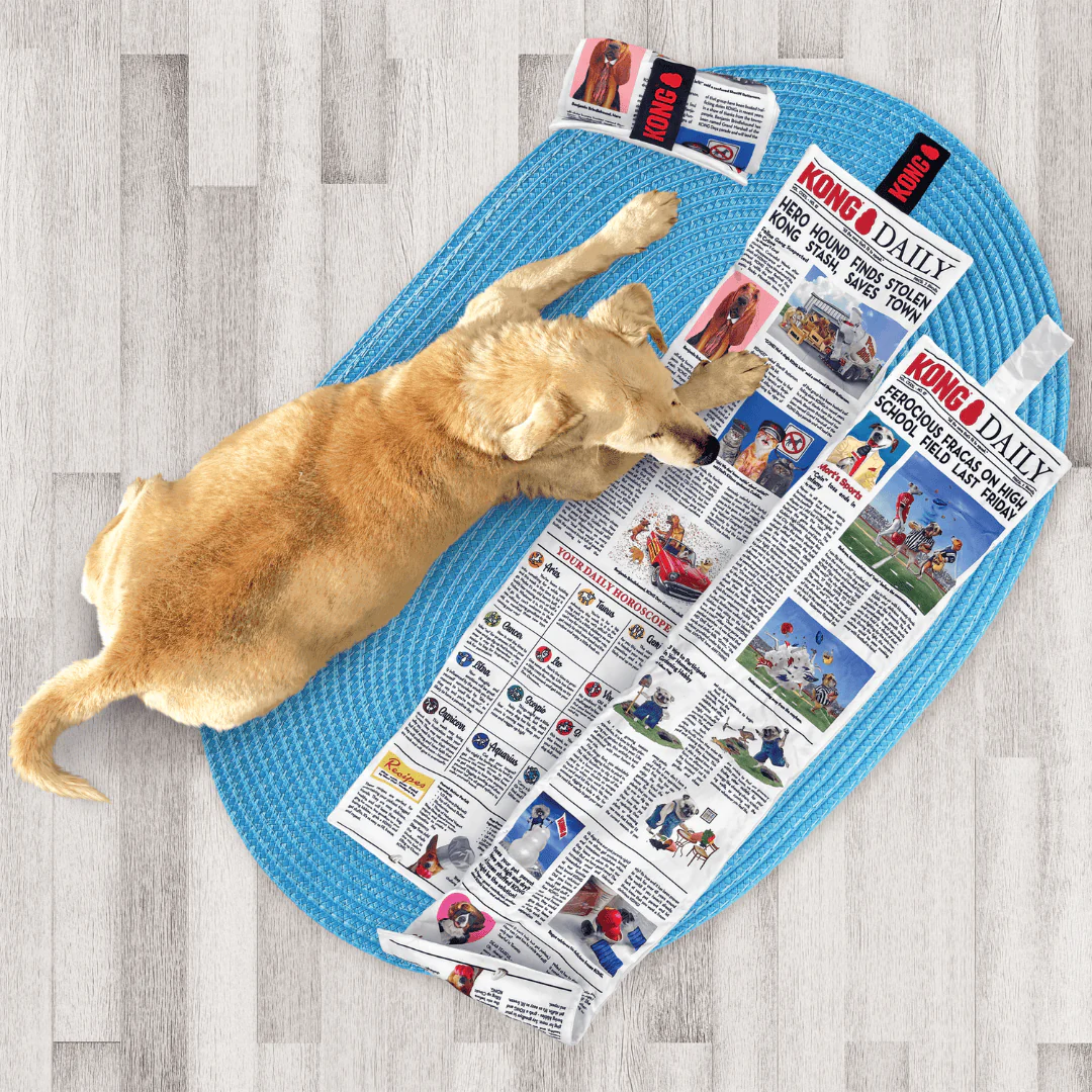 Kong Daily Newspaper Toy XL - Image 2